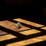 What does it mean to be rejected by God?