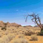 Going Back To Egypt: Sermon For Today By Arm of The Lord Christian Ministry