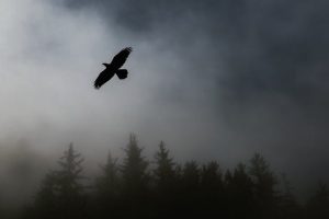 Read more about the article BEWARE OF FALSE PROPHETS, 2