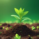 SPIRITUAL MATURITY