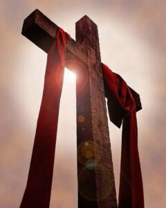 Read more about the article IN HIS IMAGE 3