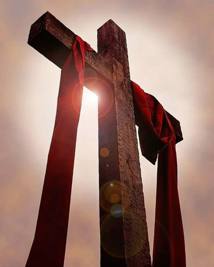 You are currently viewing IN HIS IMAGE 3