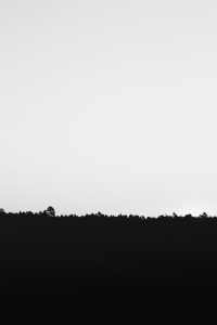 Read more about the article Seek Ye First The Kingdom of God – Sermon By Arm of The Lord Christian Ministry