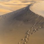 Journey Back To Egypt – Sermon By Arm of The Lord Christian Ministry